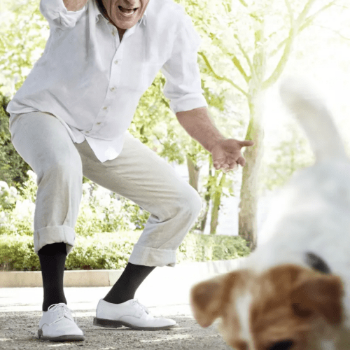 KOMPRESSIOONSUKA JALGATÕMBAMISE RAAM Medi Export Butler