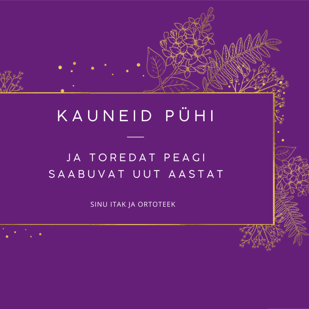 Подробнее о статье Meie pühadeaegsed lahtiolekuajad